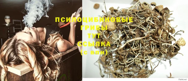 МДПВ Алзамай