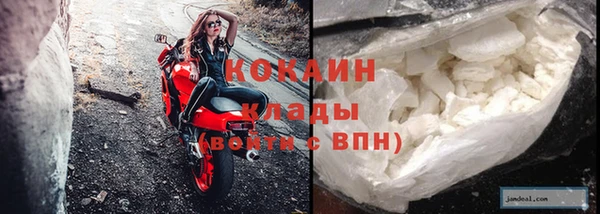 индика Сафоново